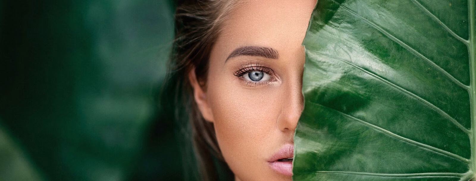 Beauty by HF